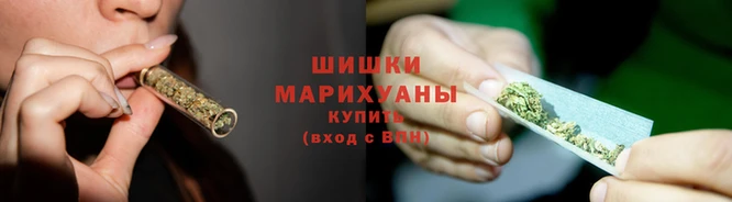 jwh Бородино